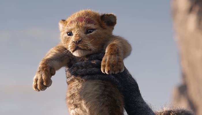 Disney The Lion King Sequel-min