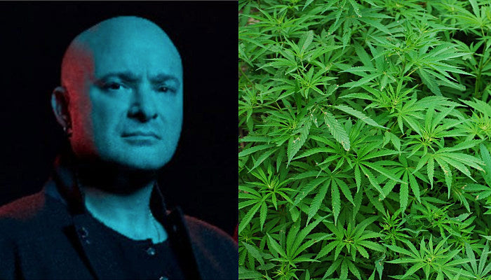 Disturbed cannabis