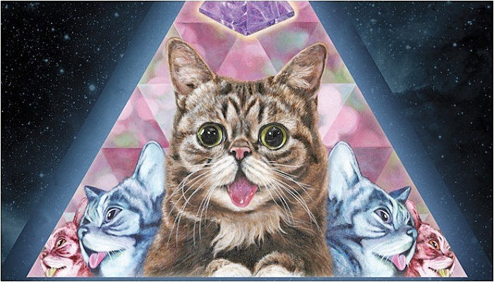 Lil bub passes away