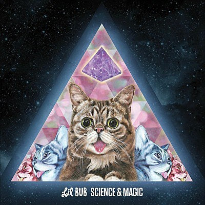 Science_and_Magic_lil_bub