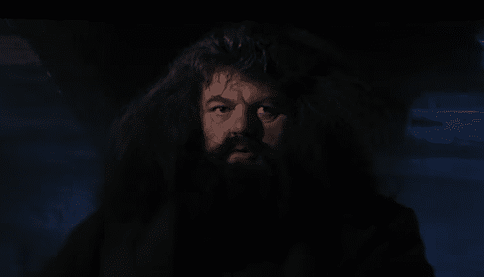 hagrid harry potter