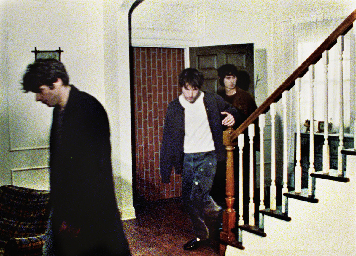 wallows
