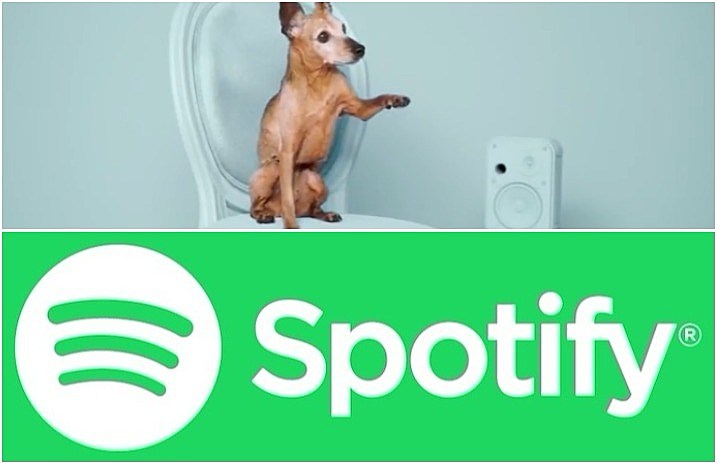 adoptify_header