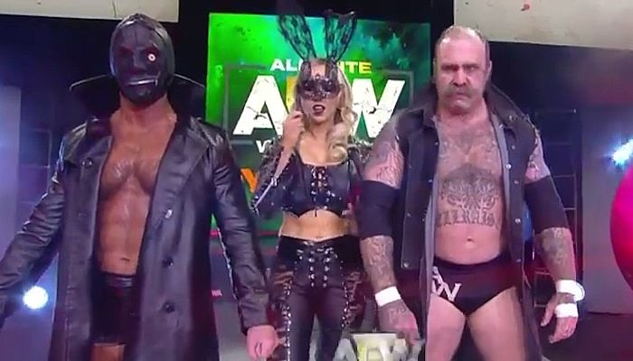 andy williams aew debut