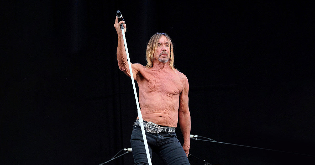 iggy and the stooges