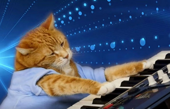 bento_keyboard_cat