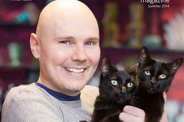 billy_corgan_cats