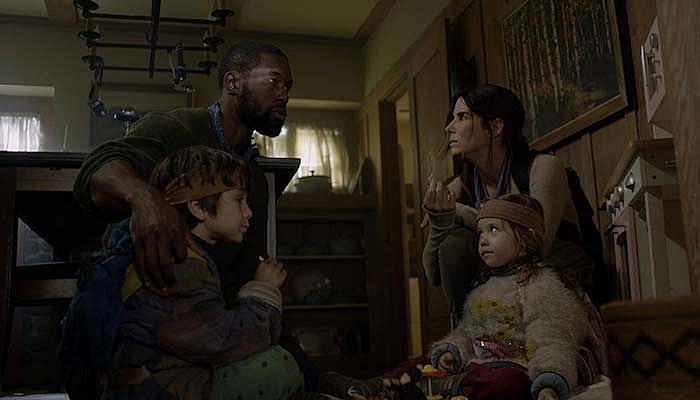 bird box family