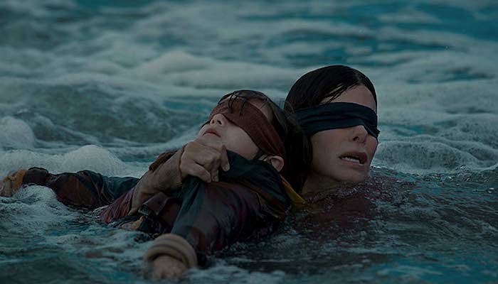 bird box sandra bullock girl