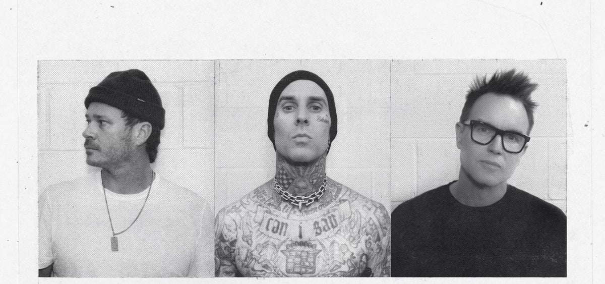 blink 182 you dont know what youve got