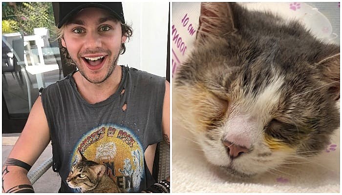 michael clifford cat