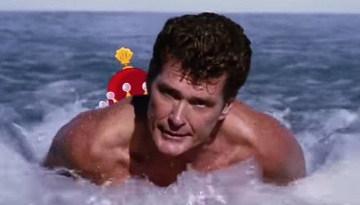 david hasselhoff