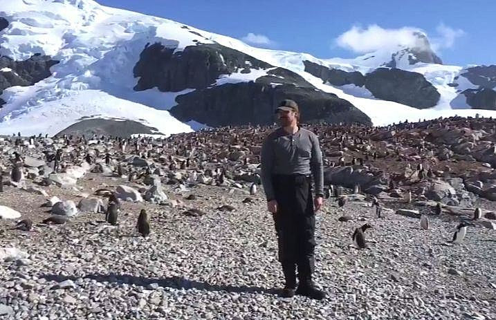 david_harbour_dance_with_penguins