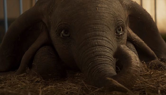 Dumbo