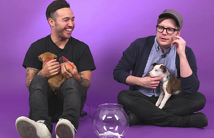 fall_out_boy_puppy_buzzfeed_interview