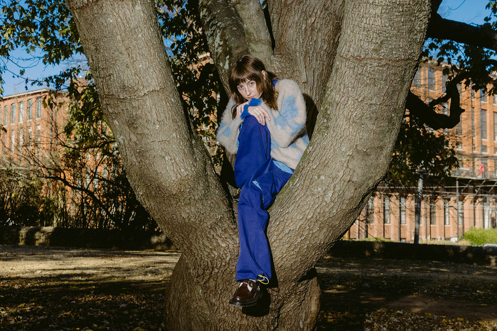 faye webster