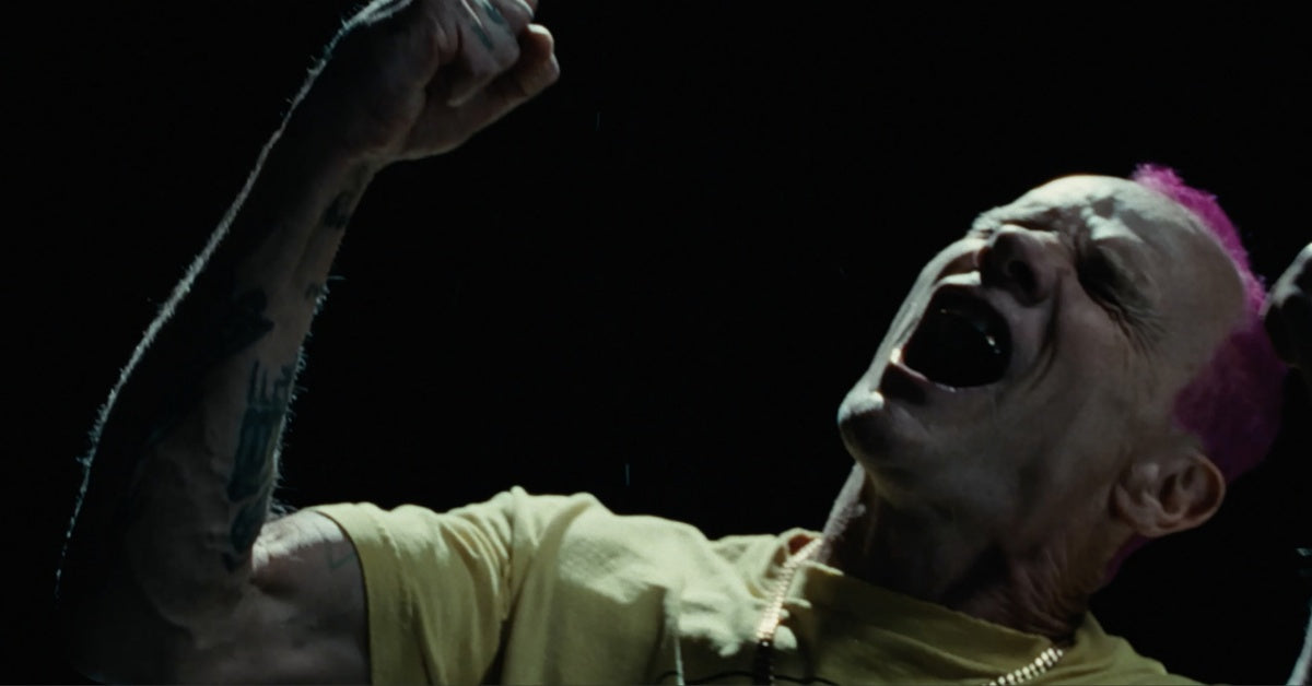 flea a plea video