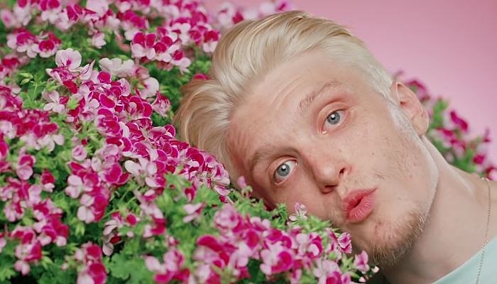 neck deep in bloom the peace and the panic
