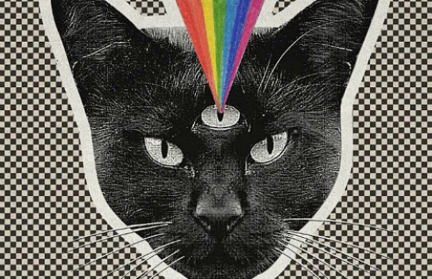 nsn_album_art