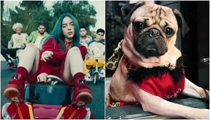 Doug The Pug, Billie Eilish