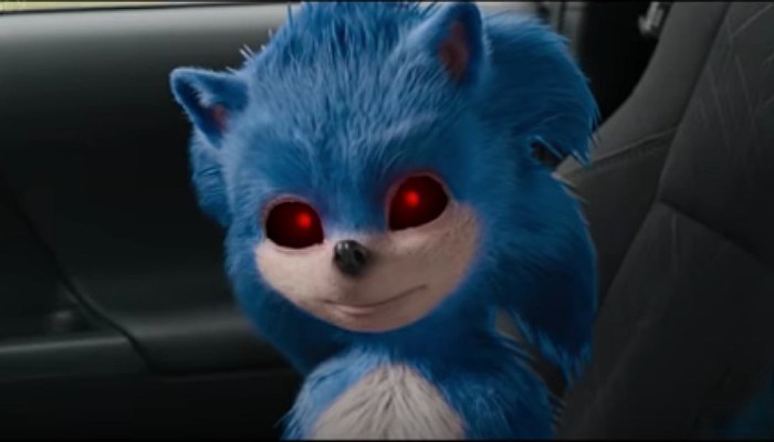 sonic the hedgehog