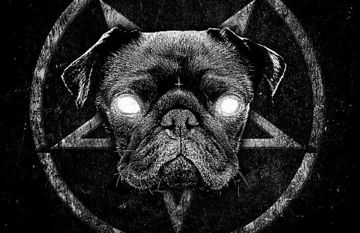 pugtopsy_header