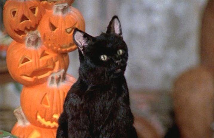 salem_sabrina_the_teenage_witch