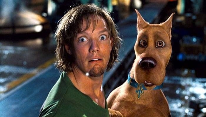 Shaggy, Scooby-Doo matthew lillard