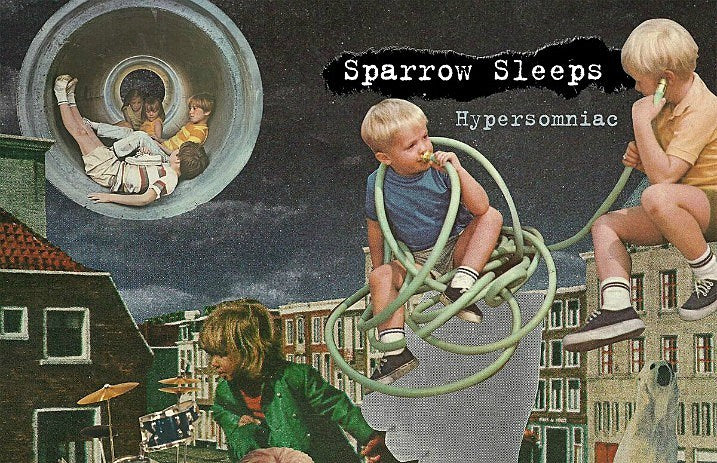 sparrow_sleeps-web