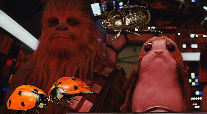 'Star Wars' with bugs