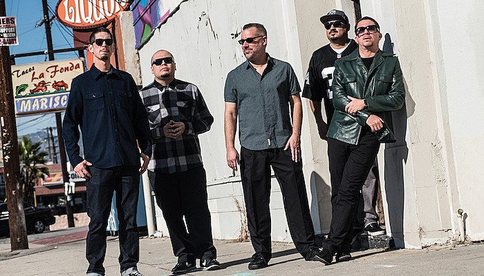 the aggrolites 2019