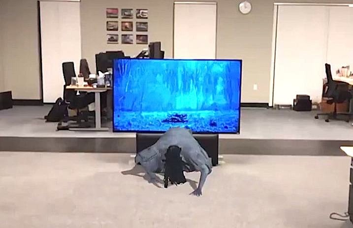 the_ring_movie_augmented_reality