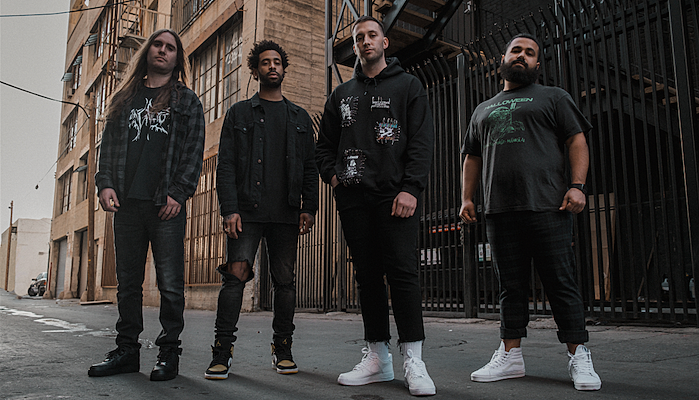 Volumes band 2020