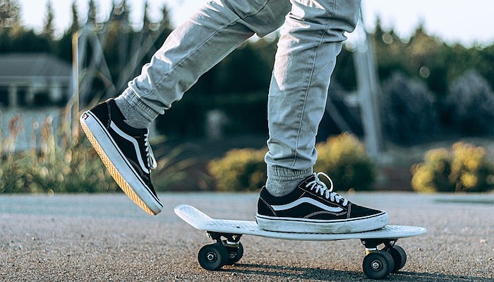 vans tiger patchwork collection-min