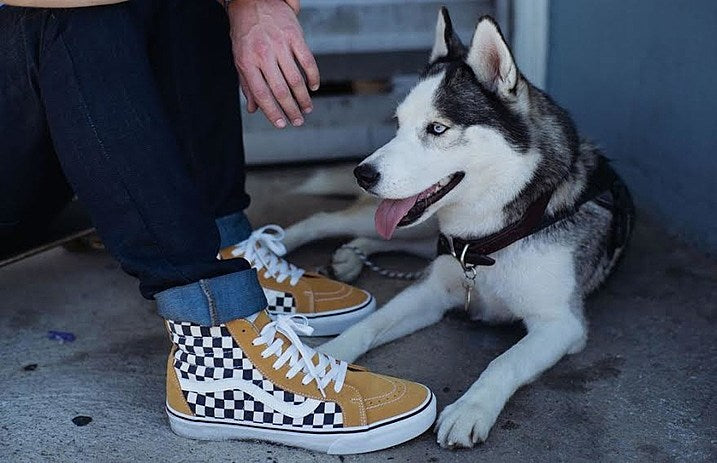 vansspring2016