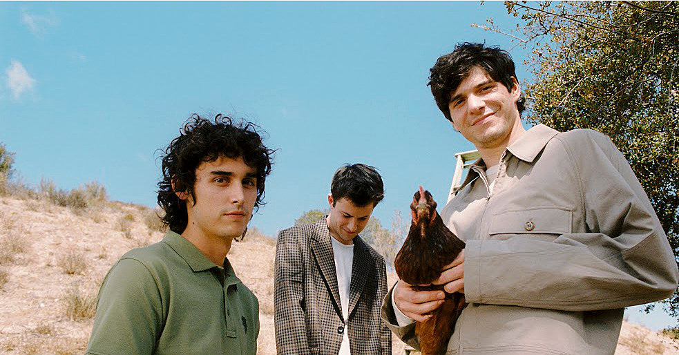 wallows especially you video