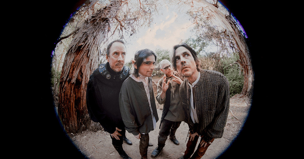 weezer spring