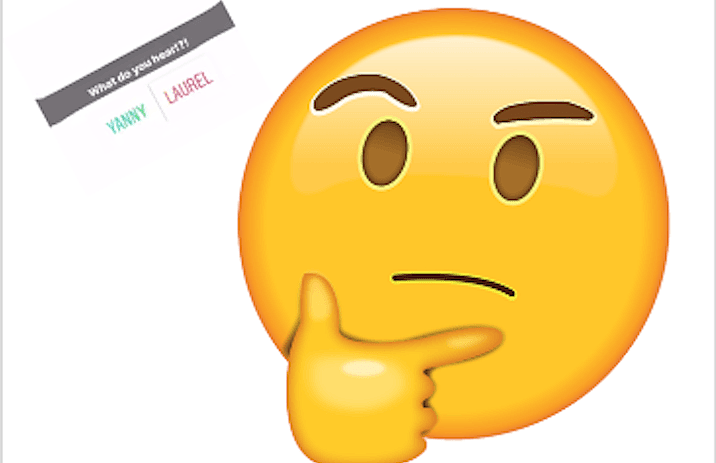 yannyheader