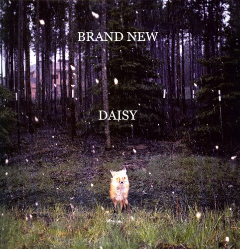BRAND NEW 'DAISY' LP