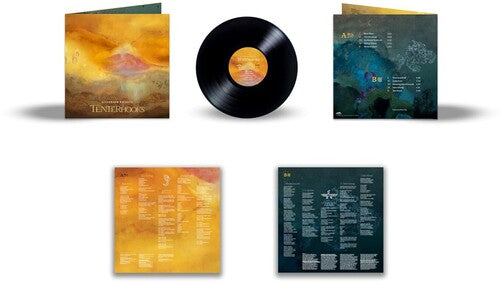 SILVERSUN PICKUPS 'TENTERHOOKS' LP