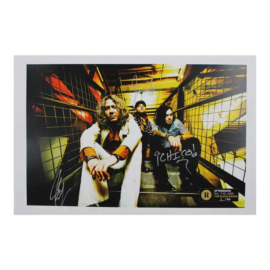THE BLACK MOODS X REVOLVER AFTERSHOCK- SIGNED FESTIVAL POSTER