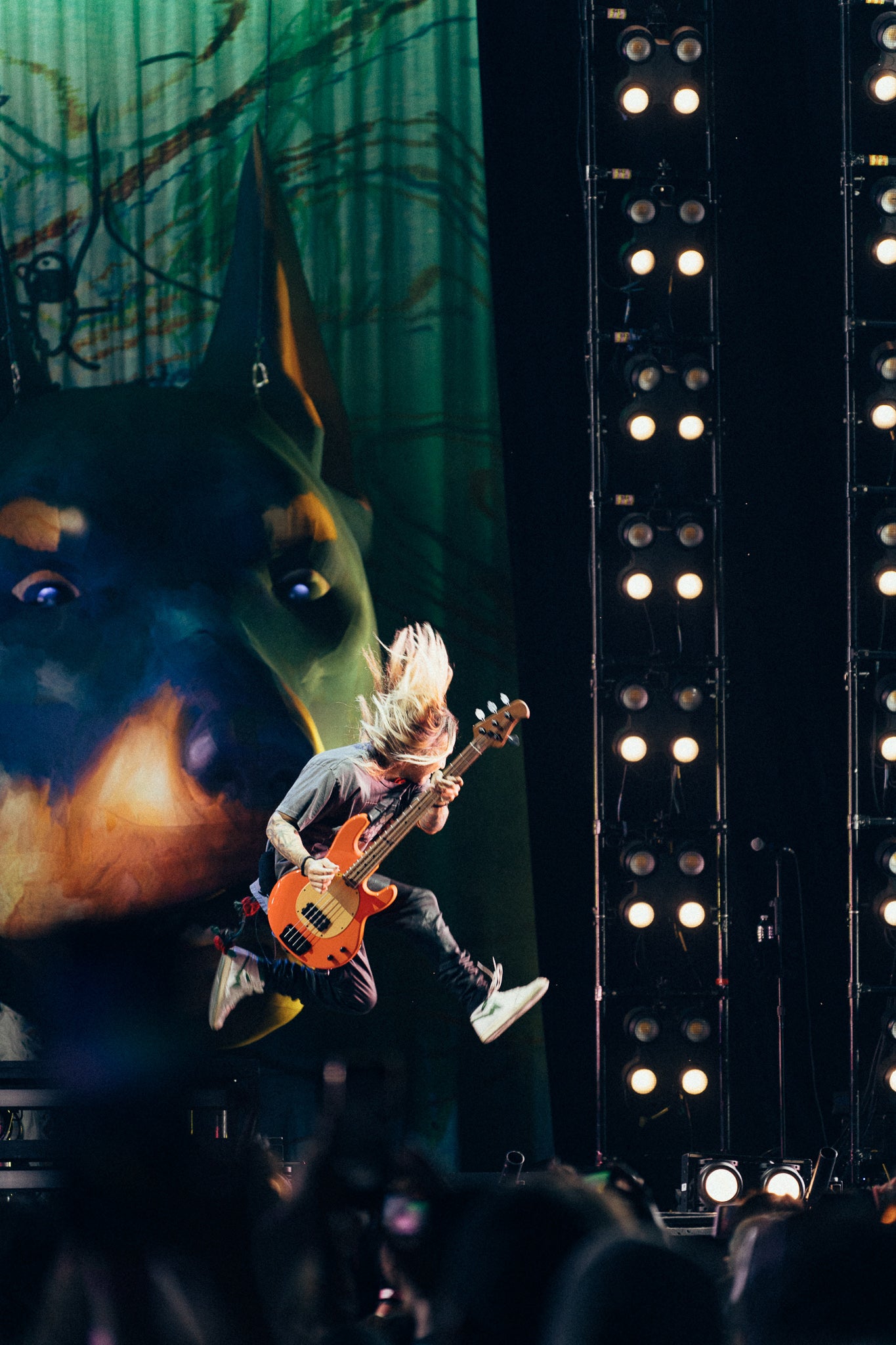 PETE WENTZ ARTIST SERIES STINGRAY BASS (AP Exclusive Early