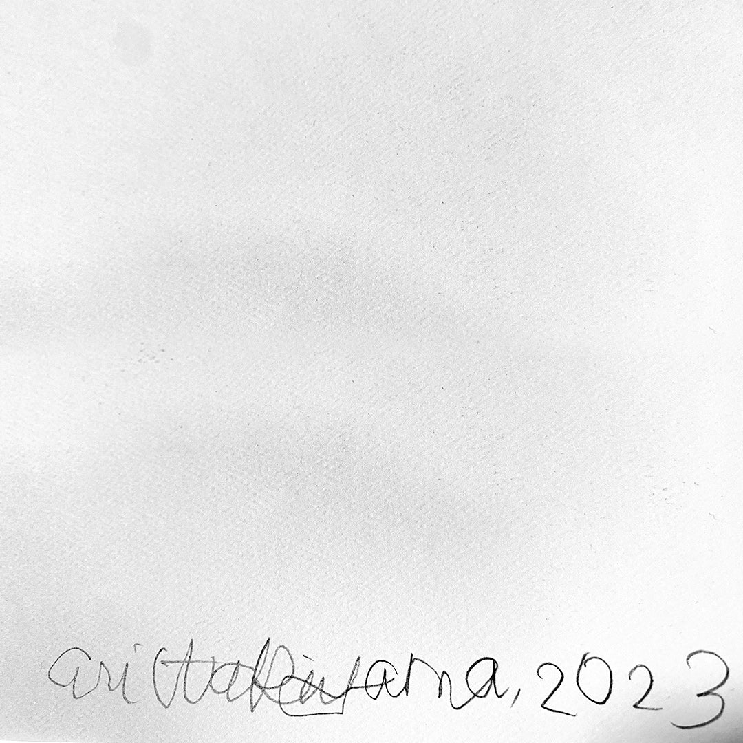 GREEN DAY INSPIRED PRINT - NUMBERED and ARTIST SIGNED