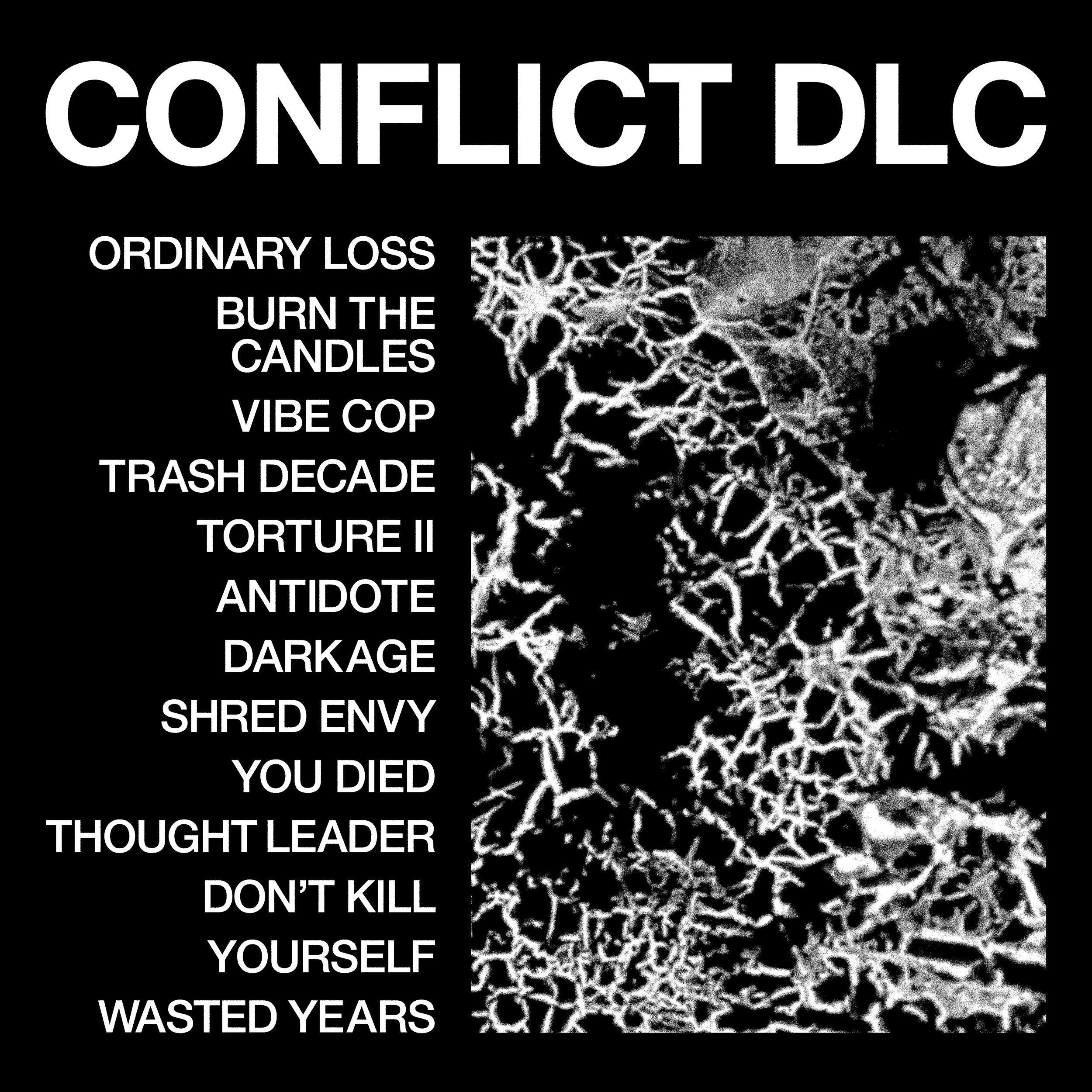 HEALTH ‘CONFLICT DLC’ CD