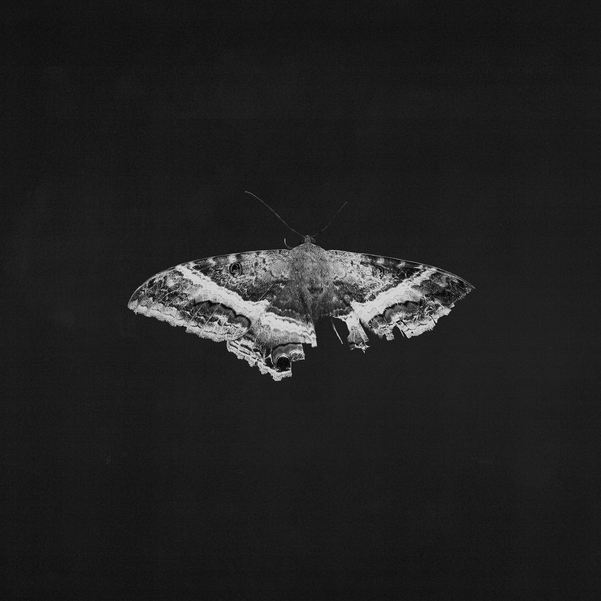 KENDRICK LAMAR 'TO PIMP A BUTTERFLY' 2LP (10th Anniversary Edition, Alternate Artwork)