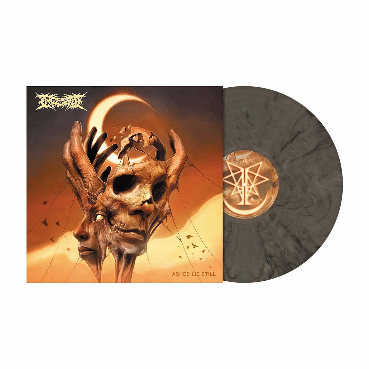 INGESTED 'ASHES LIE STILL' LP (Clear w/Black Smoke Vinyl)